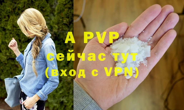 твердый Балахна