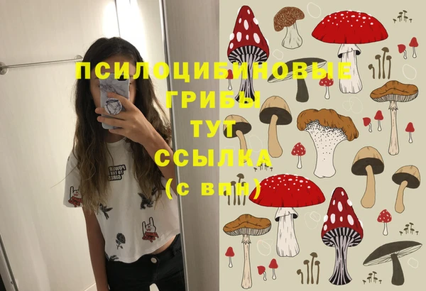 твердый Балахна